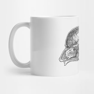 Brain Diagram Two - Anatomy Mug